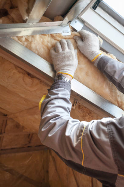 Best Insulation for Specific Applications in Combe, LA