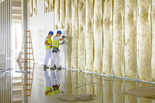 Best Insulation for Specific Applications in Combe, LA